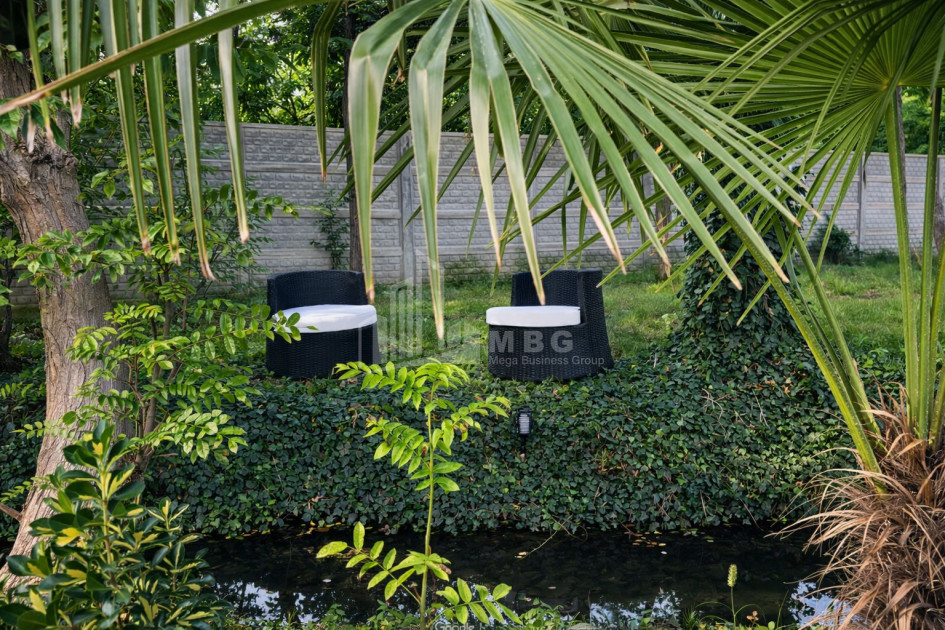 Business for sale Commercial Telavi Kakheti