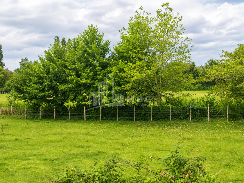 For Sale Orchards Land In Abasha