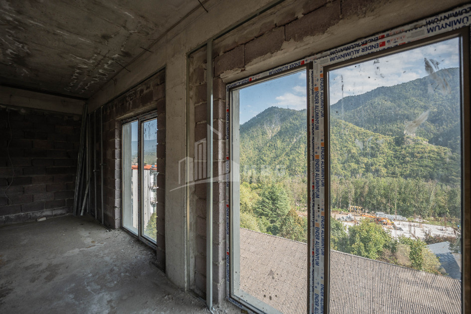 For Sale Commercial Likani Borjomi Samtskhe   Javakheti