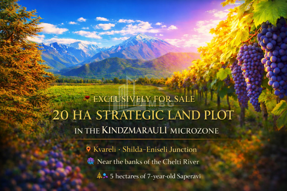 For Sale Vineyard - Chateau Land In Eniseli, Kvareli