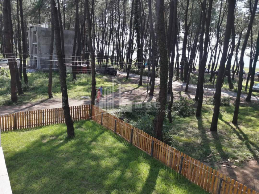 For Sale House - Villa, in Daba Shekvetili