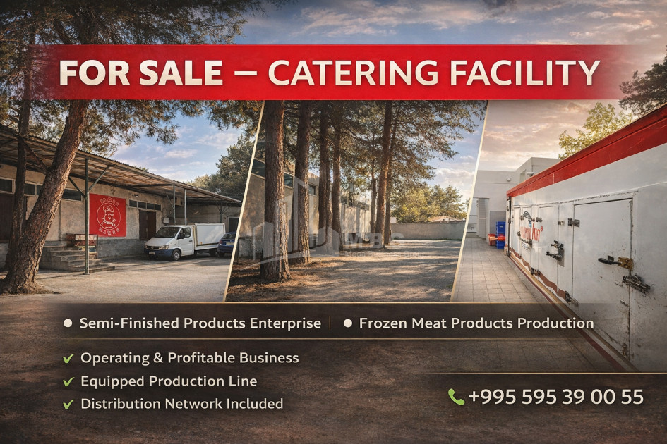 Business/Investment for Sale Food facility Commercial In Kvemo Ponichala, Krtsanisi District