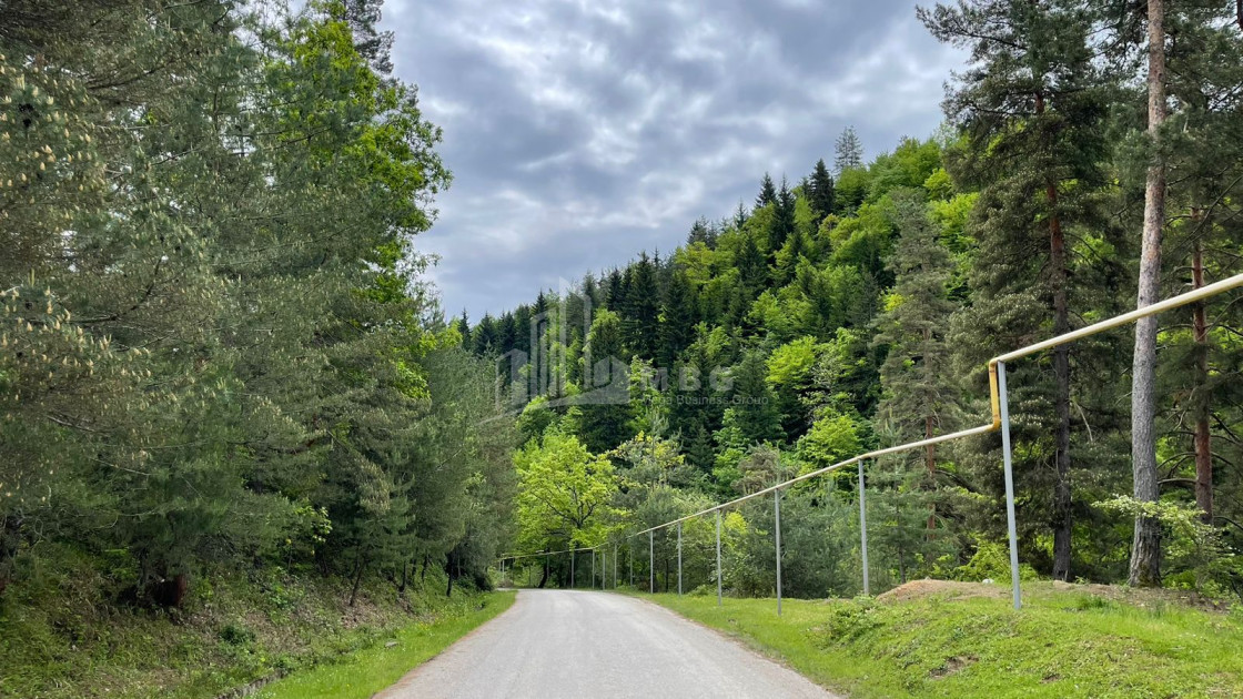 იყიდება სააგარაკე მიწის ნაკვეთი, ონი