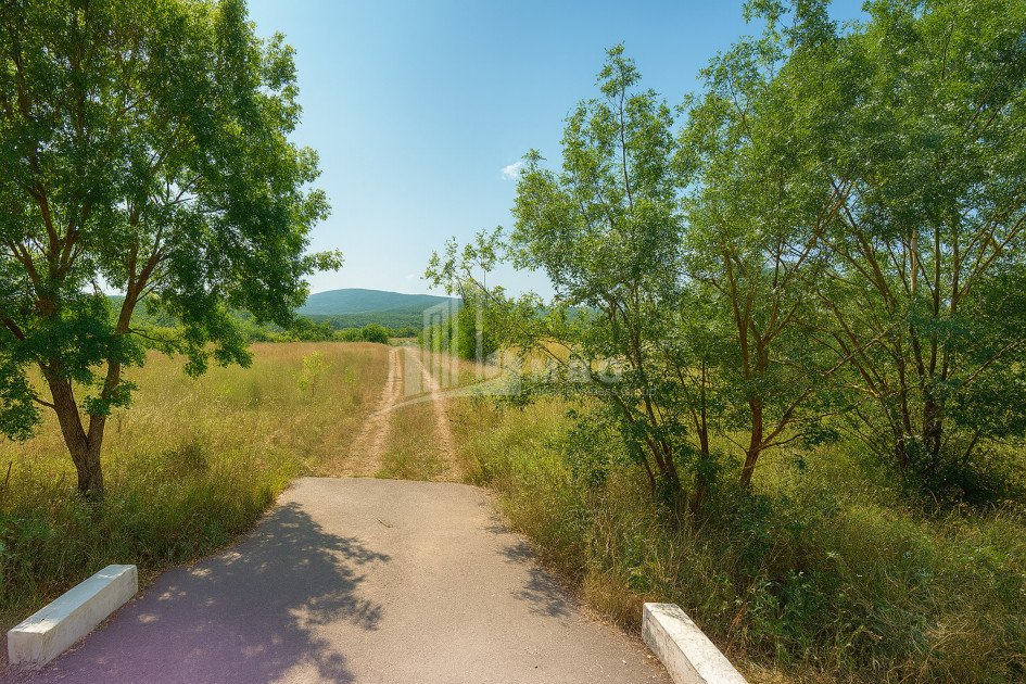 For Sale Land Trani Tianeti Mtskheta   Mtianeti