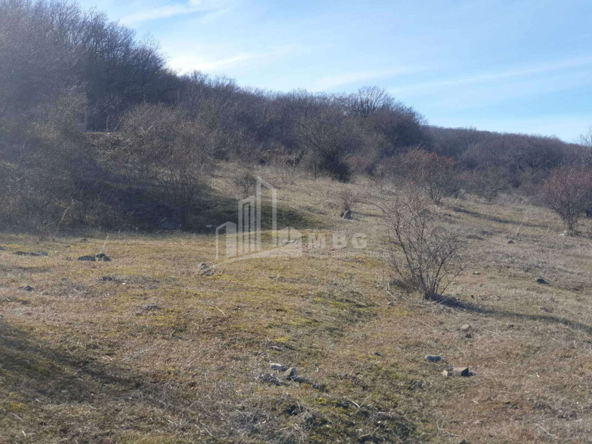 For Sale Country Land, in Tserovani