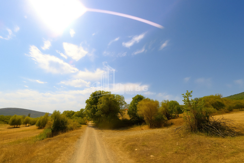 იყიდება მიწის ნაკვეთი ახალსოფელი თიანეთი მცხეთა   მთიანეთი