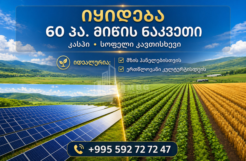 For Sale Agricultural Land In Kavtiskhevi, Kaspi