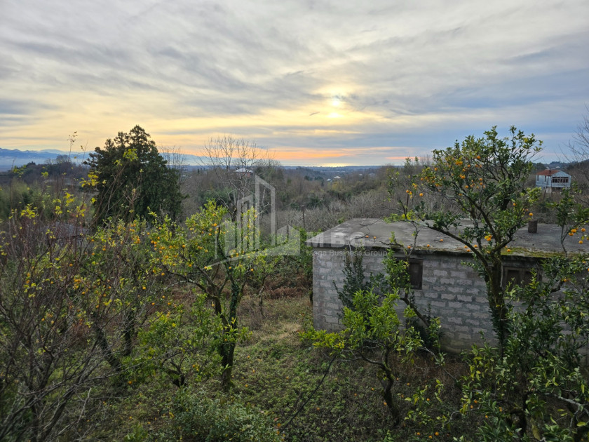 იყიდება ძველი აშენებული სახლი - აგარაკი ზემო ნატანებში, ოზურგეთი