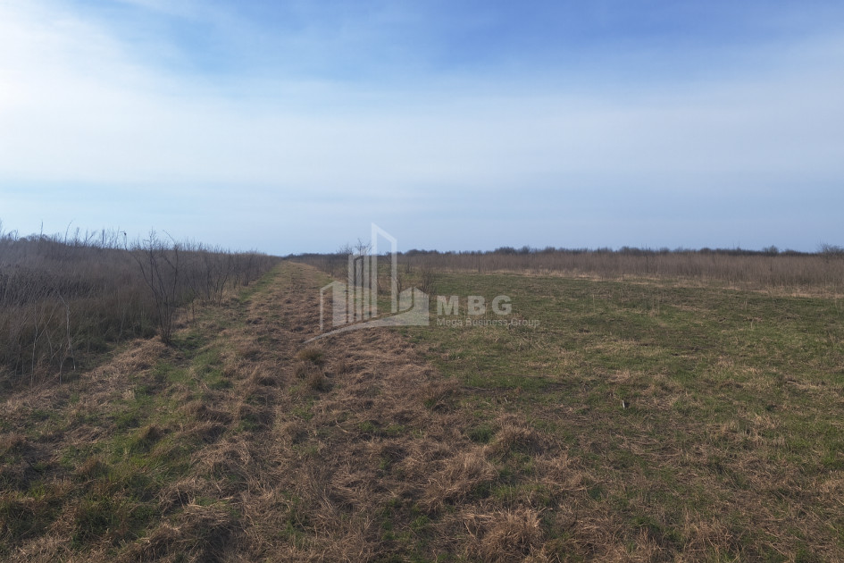 For Sale Land Kvemo Shukhuti Lanchkhuti Municipalities of Guria