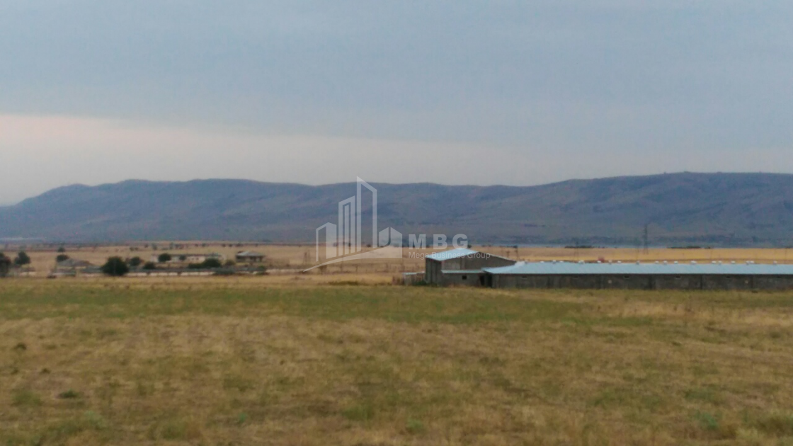 For Sale Orchards Land, in Kumisi