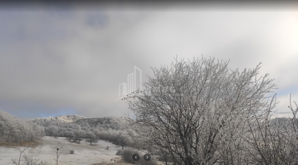 იყიდება სახნავ - სათესი მიწის ნაკვეთი, ზემო გოსტიბე