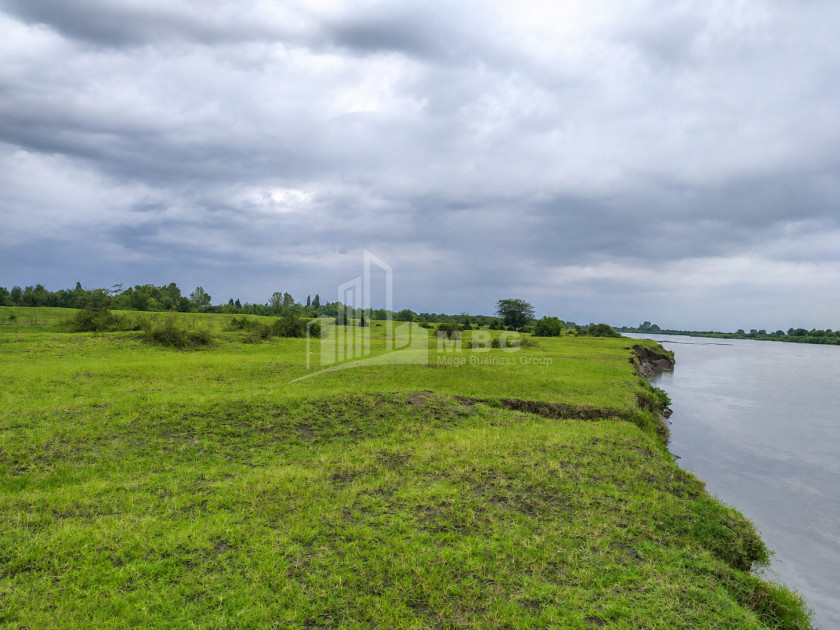 For Sale Orchards Land In Abasha