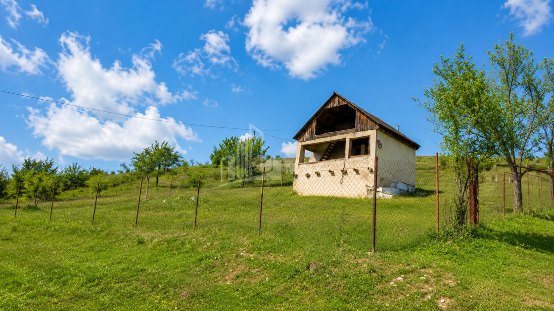 For Sale Country Land In Iltosa village, Dusheti