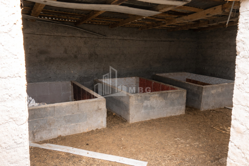 Продается Озеро - Рыболовное хозяйство Земля В Деревния Гачиани, Гардабани