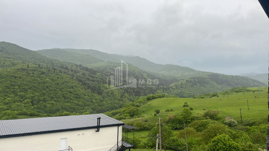 For Sale Commercial Manglisi Tetritskaro Kvemo Kartli