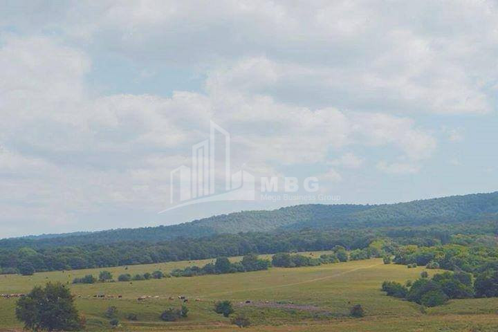 For Sale Land Tolaantsopeli Tianeti Mtskheta   Mtianeti