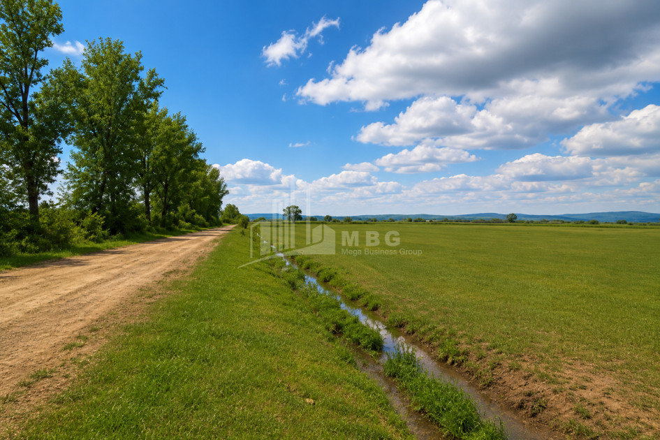 For Sale Vineyard - Chateau Land In Manavi, Sagarejo