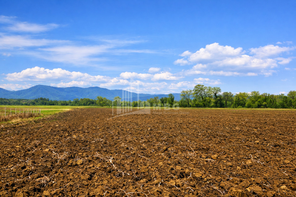 იყიდება სავენახე - საშატოე მიწის ნაკვეთი თელავში