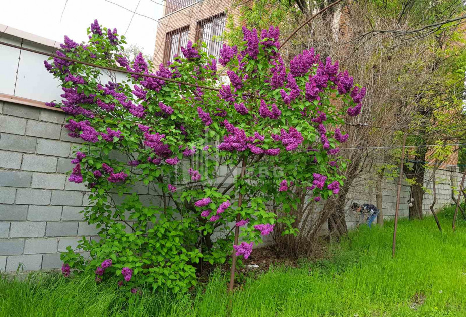 Продается Дом - Вилла, в Мцхета