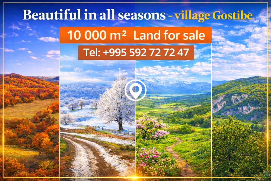 For-Sale-Land-Zemo-Gostibe-Kaspi-Shida-Kartli