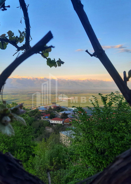 იყიდება კომერციული ფართი სიღნაღი კახეთი