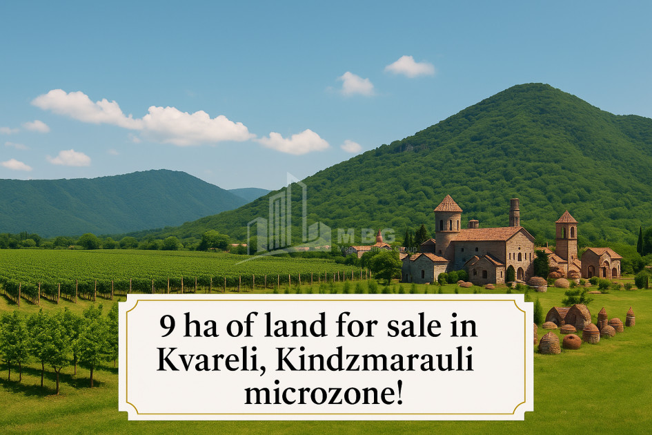 For Sale Land Kvareli Kakheti