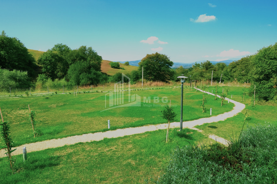 For Sale House Villa Tskhvarichamia Mtskheta Mtskheta   Mtianeti