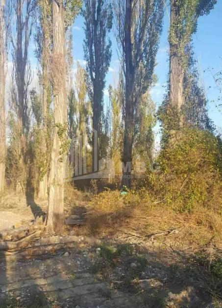 For Sale Country Land, in Aghaiani