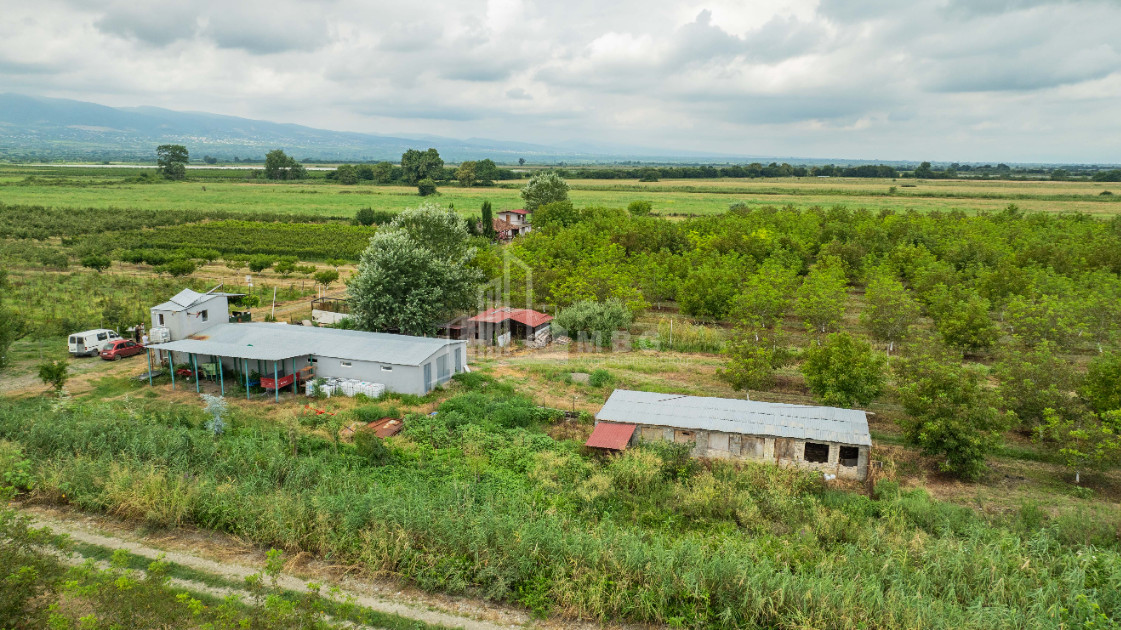 For Sale Land Kakheti