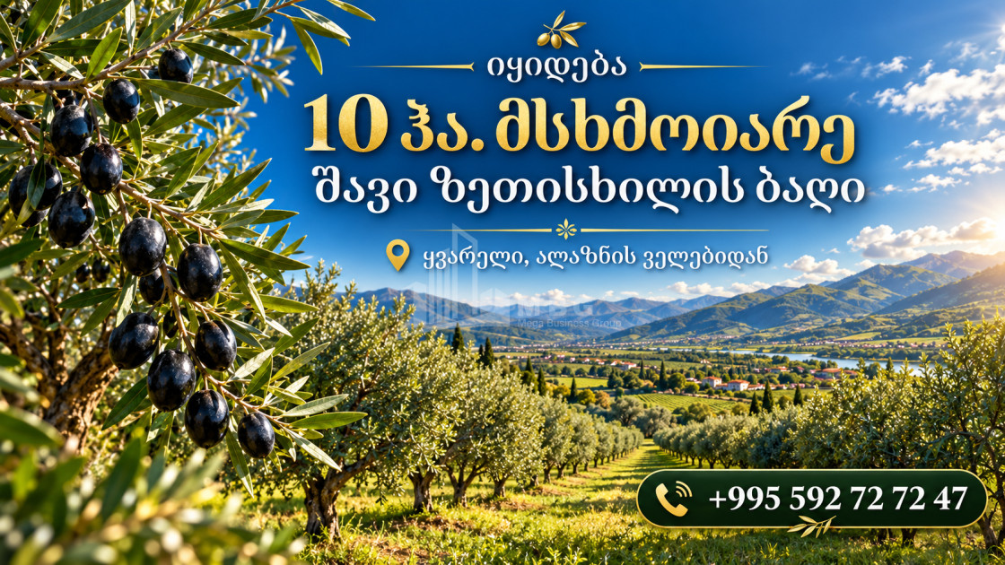 იყიდება ხეხილის ბაღი მიწის ნაკვეთი ყვარელში