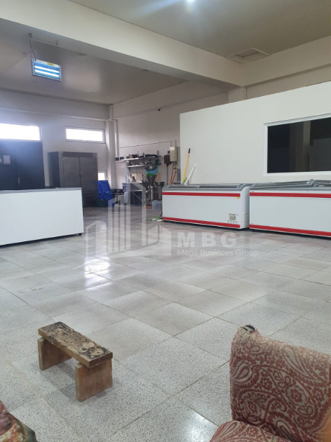 For Sale Commercial Shindisi Mtatsminda District Tbilisi