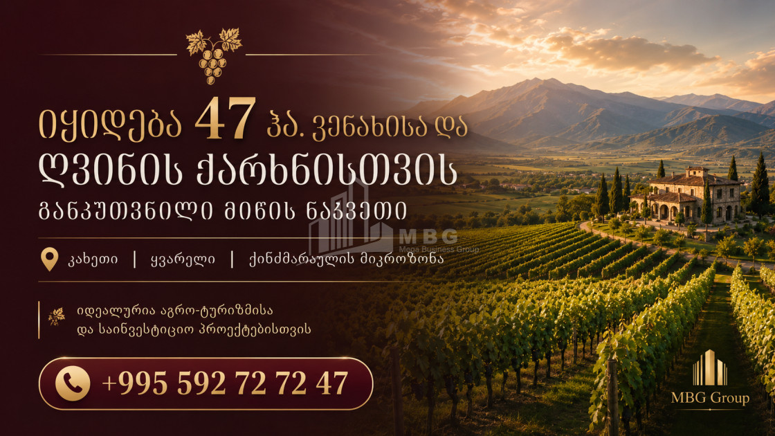 For Sale Vineyard - Chateau Land In Kvareli