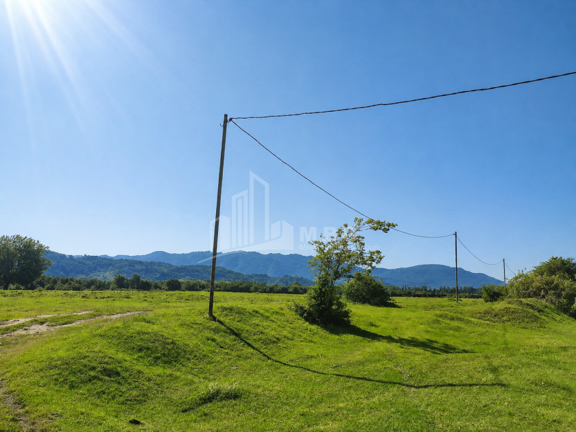 For Sale Orchards Land In Abasha