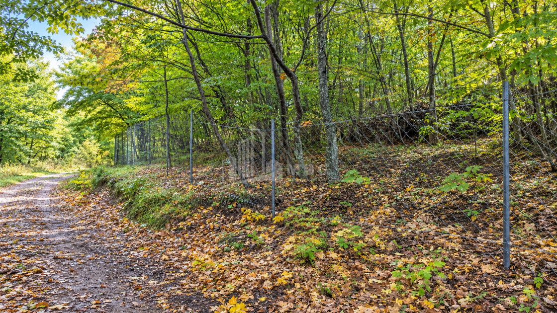 For Sale Country Land In Birtvisi Gorge, Tetritskaro