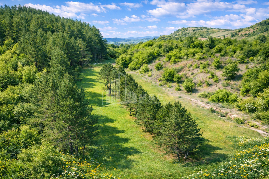 For Sale Land Daba Surami Khashuri Shida Kartli