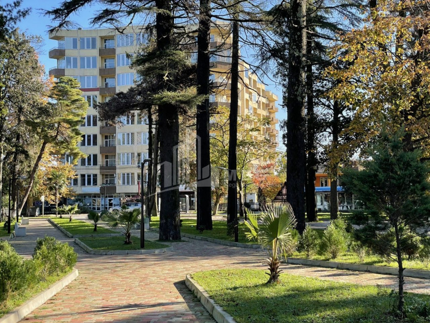 იყიდება ბინა ქობულეთის მუნიციპალიტეტი აჭარა