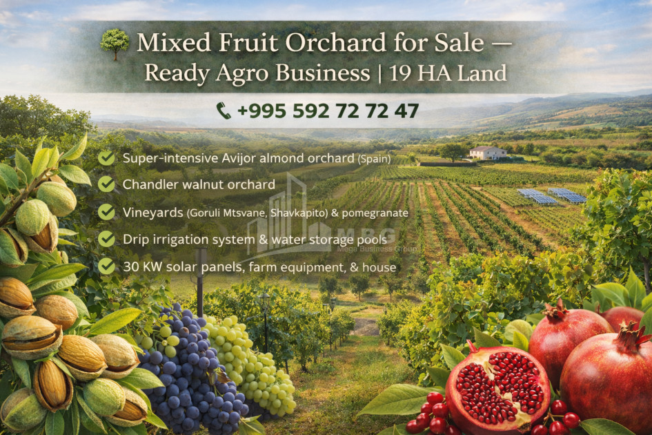 იყიდება მიწის ნაკვეთი სოფელი შაუმიანი მარნეული ქვემო ქართლი