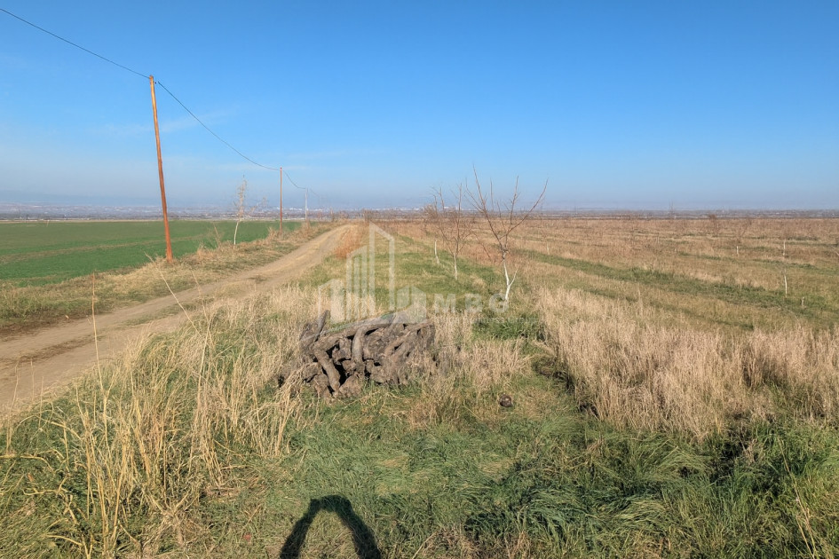 იყიდება მიწის ნაკვეთი სოფელი შაუმიანი მარნეული ქვემო ქართლი