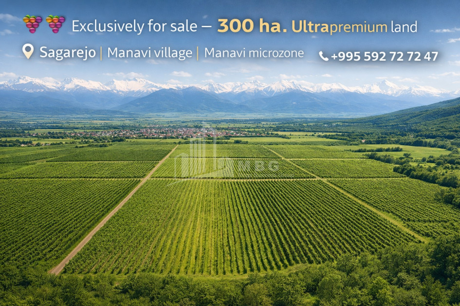Продается Земля Манави Сагареджо Кахети