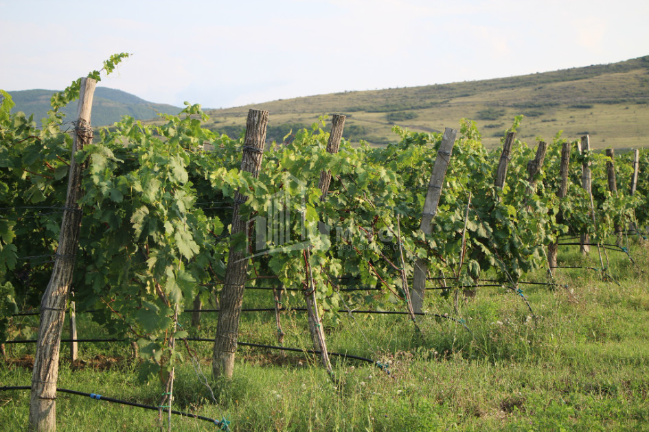 იყიდება კომერციული ფართი დოესი კასპი შიდა ქართლი