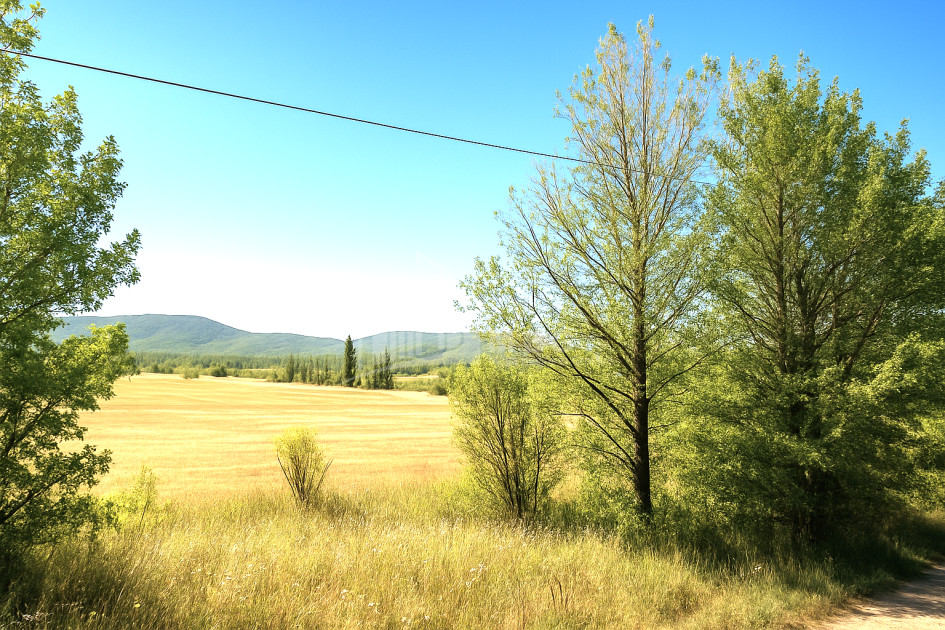 For Sale Land Trani Tianeti Mtskheta   Mtianeti