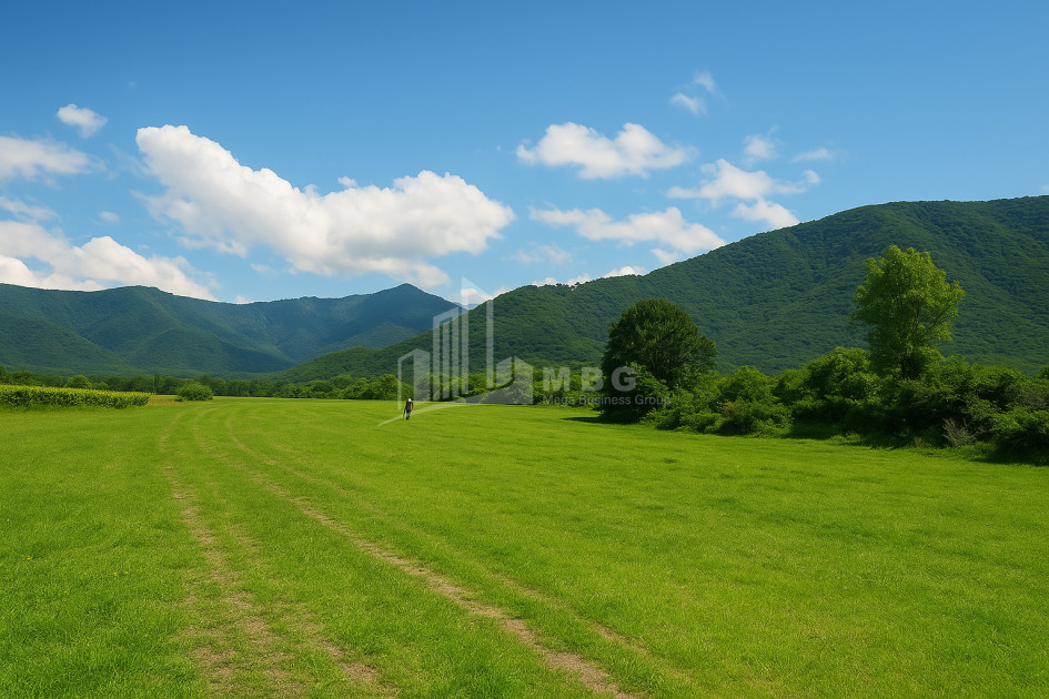 For Sale Land Kvareli Kakheti