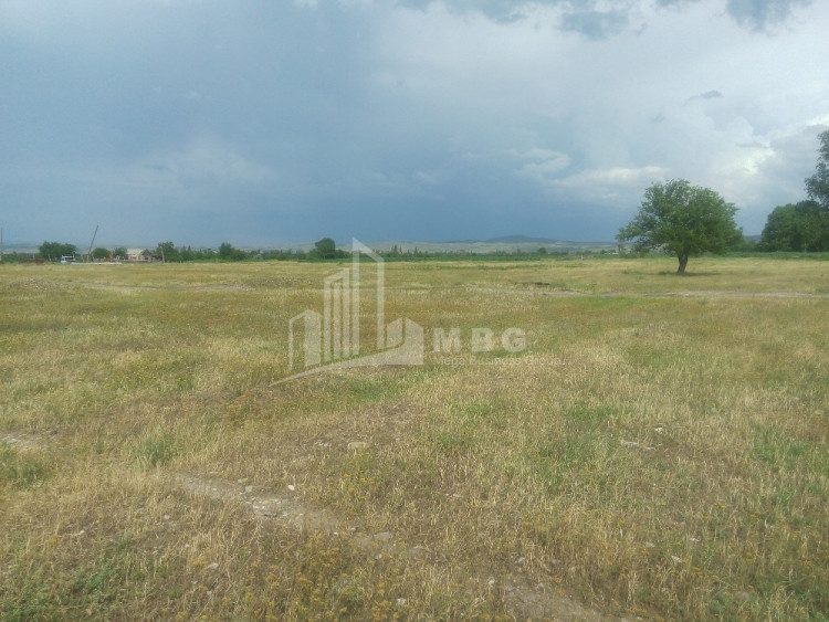 იყიდება სააგარაკე მიწის ნაკვეთი, გამარჯვება