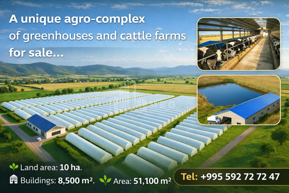 იყიდება მიწის ნაკვეთი ვანი იმერეთი