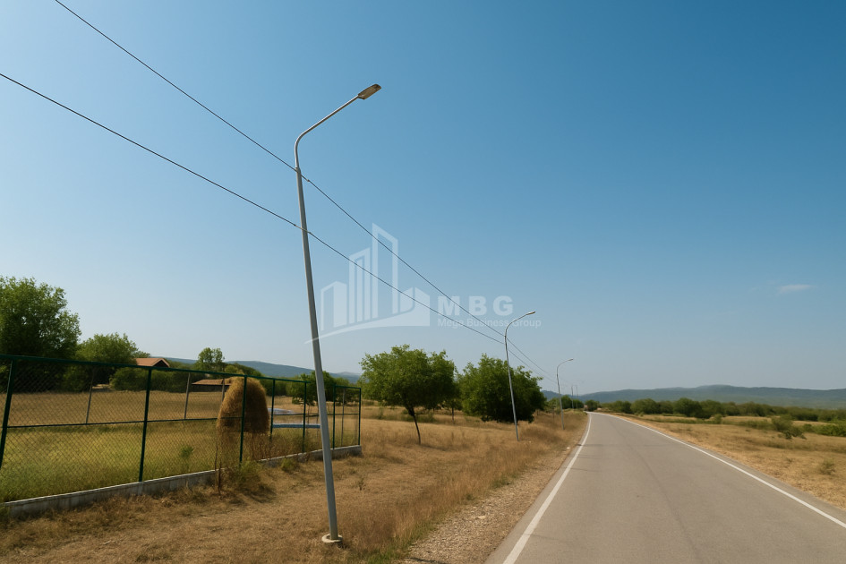 For Sale Land Magraneti Tianeti Mtskheta   Mtianeti