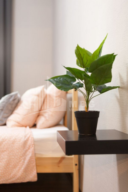 В аренду Квартира, в Вера