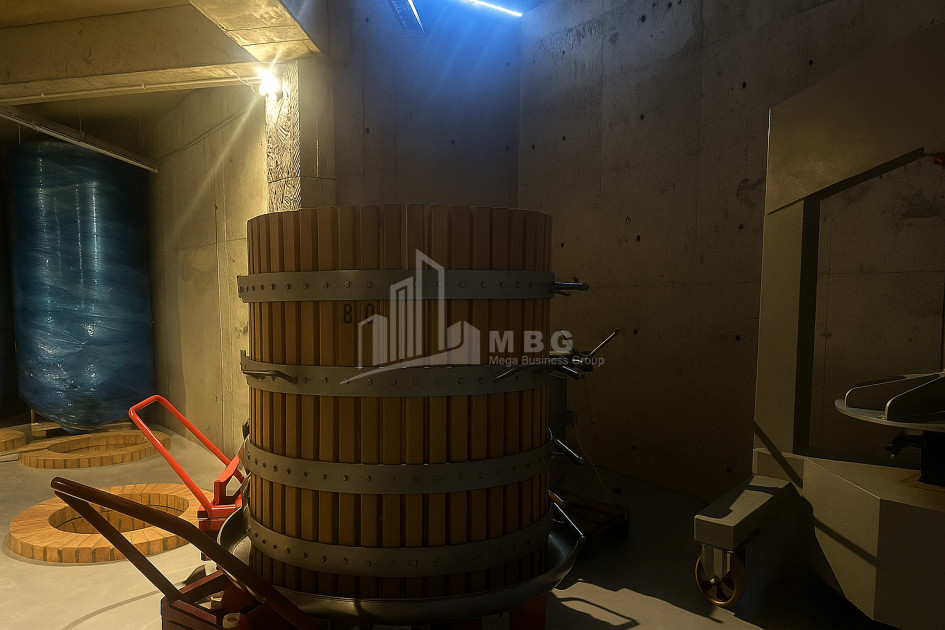 Продается Коммерческий Охио Ахмета Кахети