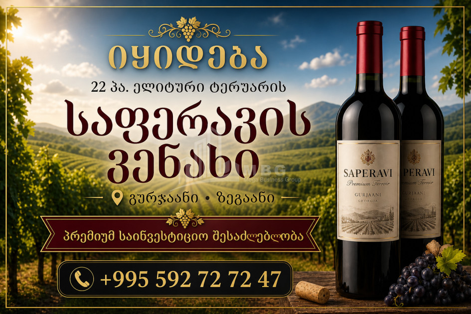 For Sale Vineyard - Chateau Land In Zegaani, Gurjaani