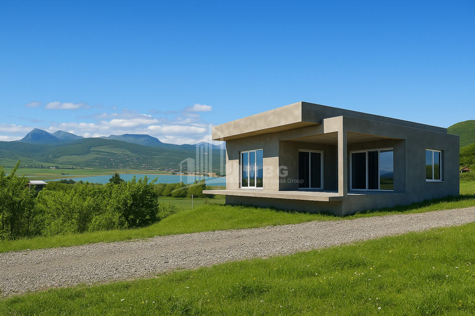 For Sale House Villa Bazaleti Dusheti Mtskheta   Mtianeti