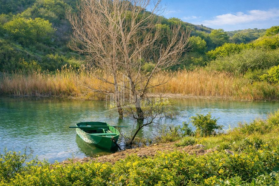Продается Озеро - Рыболовное хозяйство Земля В Деревния Гачиани, Гардабани